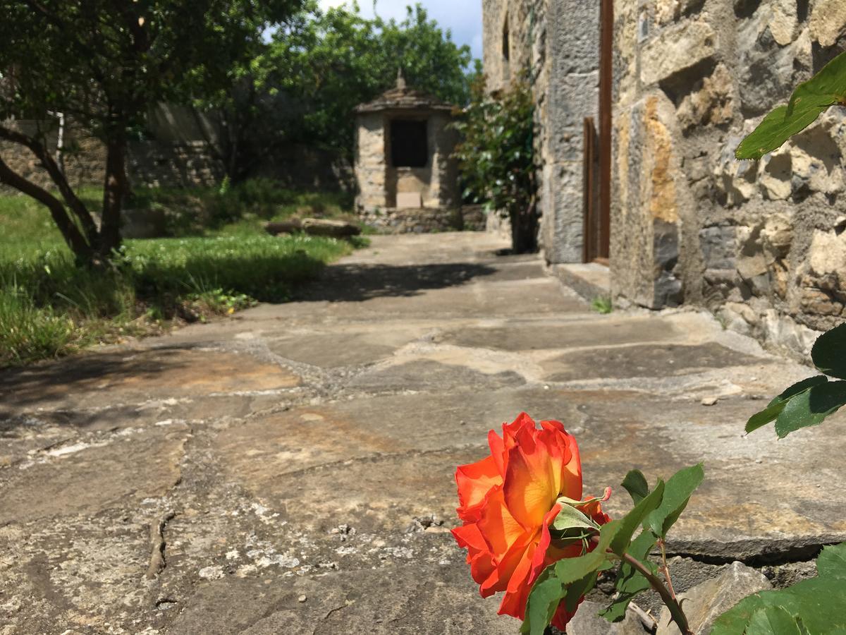Pensjonat La Abadia Coscojuela de Sobrarbe Zewnętrze zdjęcie